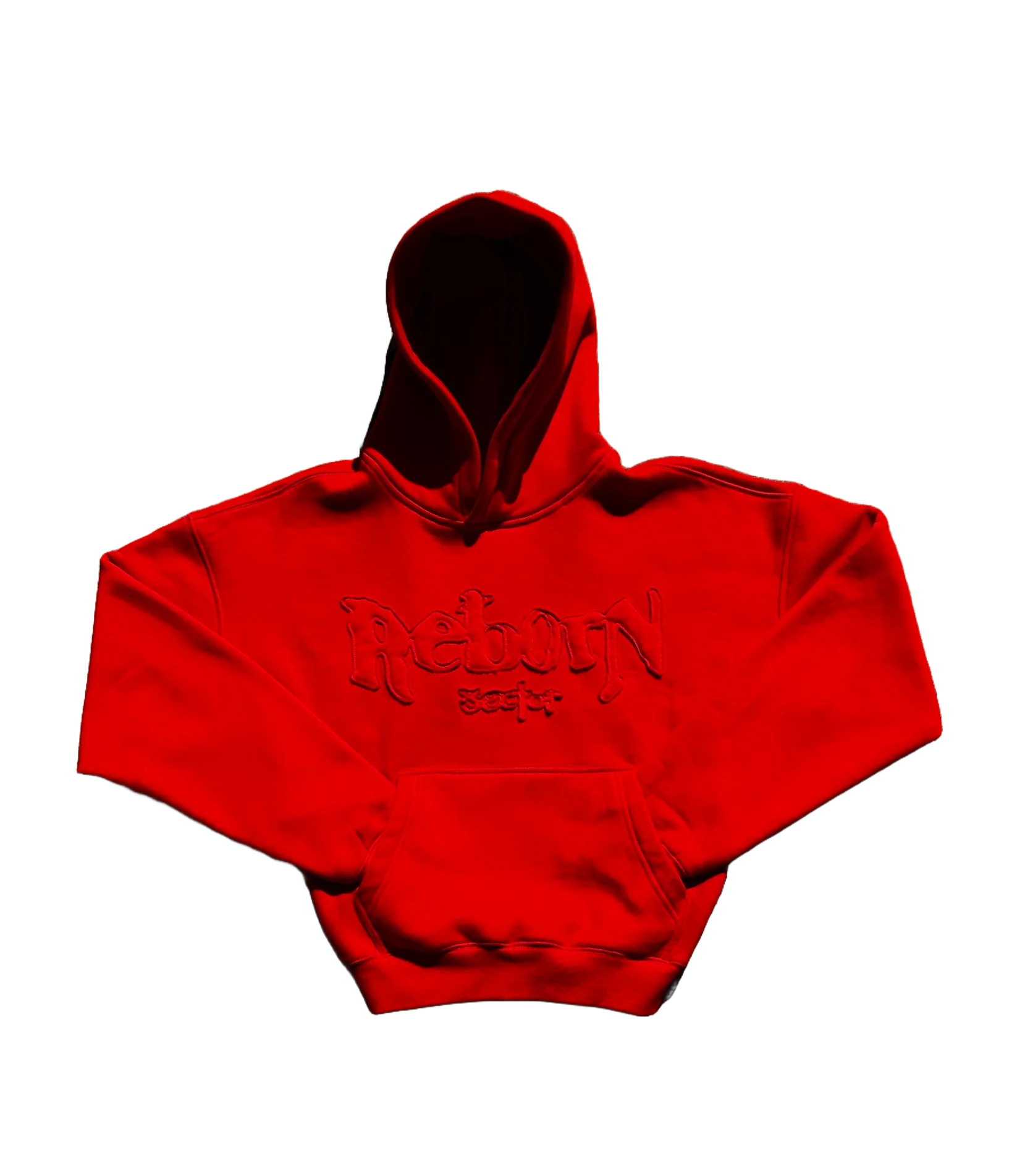 Hoodie Reborn Sector